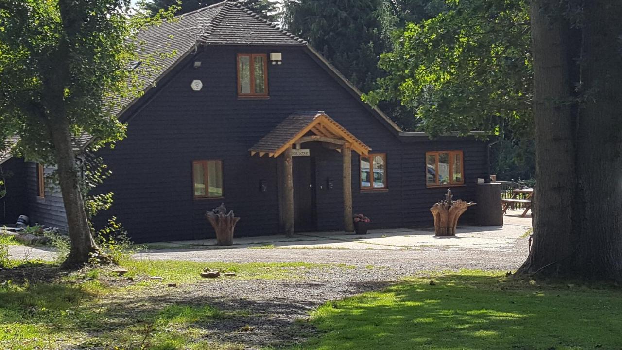Oakside Lodge Guest House カンタベリー エクステリア 写真